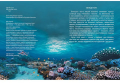 Волшебный и фантастический подводный мир - Фото 1