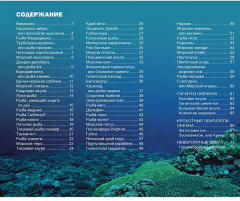 Волшебный и фантастический подводный мир - Фото 4