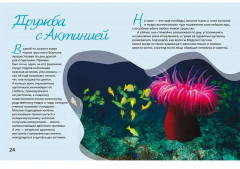 Очарованные Мальдивы. Приключения рака-отшельника - Фото 2