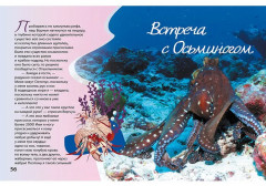 Очарованные Мальдивы. Приключения рака-отшельника - Фото 3