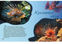 Очарованные Мальдивы. Приключения рака-отшельника - Фото 4