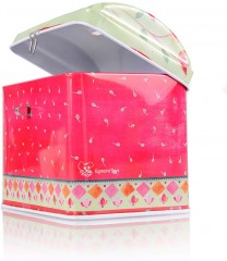 Металлическая копилка «Индия» - Фото 1