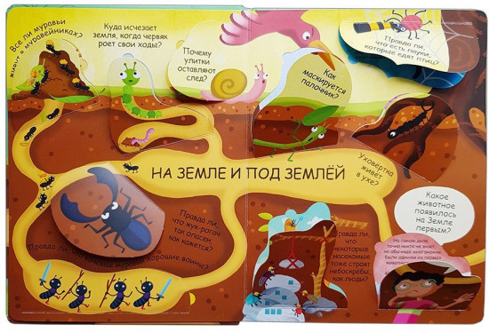Волшебные окошки. Микромир