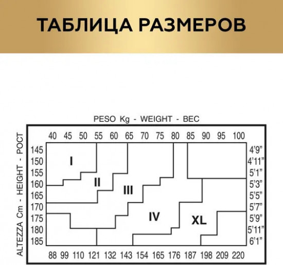 Колготки с трусиками «Fleur 40»