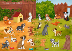 Наклейки с заданиями. Такие разные животные - Фото 1