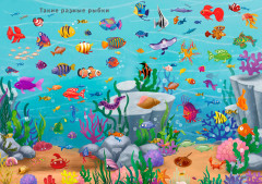 Наклейки с заданиями. Такие разные животные - Фото 5