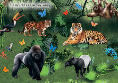 Наклейки с заданиями. Мои первые животные - Фото 5