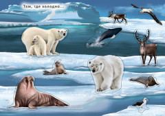 Наклейки с заданиями. Мои первые животные - Фото 6