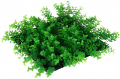 Панель декоративная «Высокий мох» - Фото 3