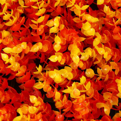 Панель декоративная «Осенняя трава» - Фото 2