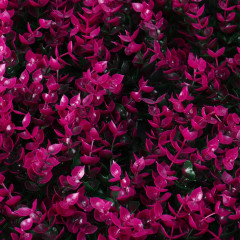 Панель декоративная «Фиолетовая трава» - Фото 2