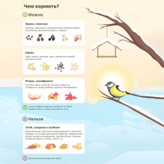 Кормушка-конструктор для птиц «Изба бревенчатая» - Фото 12