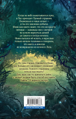 Лунный странник - Фото 1