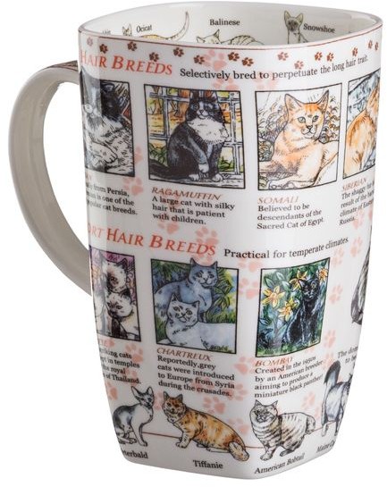 Кружка «The world of the cat» (600 мл)