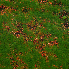 Мох искусственный - Фото 2