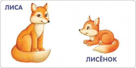 Книжки — картонки. Животные и детёныши