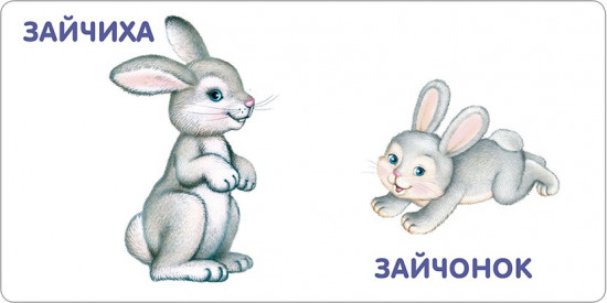 Книжки — картонки. Животные и детёныши