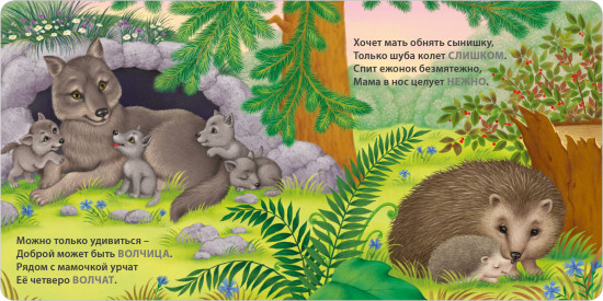 Мамы и малыши. Дикие животные.