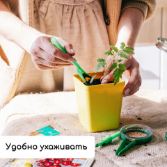 Набор для рассады - Фото 4