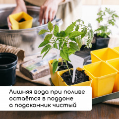 Набор для рассады - Фото 5