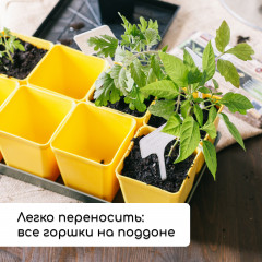 Набор для рассады - Фото 6