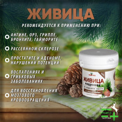 Капсулы «Живица кедровая на кедровом масле со струей бобра» - Фото 2