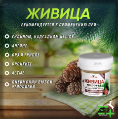 Капсулы «Живица кедровая на кедровом масле с барсучьим жиром» - Фото 2
