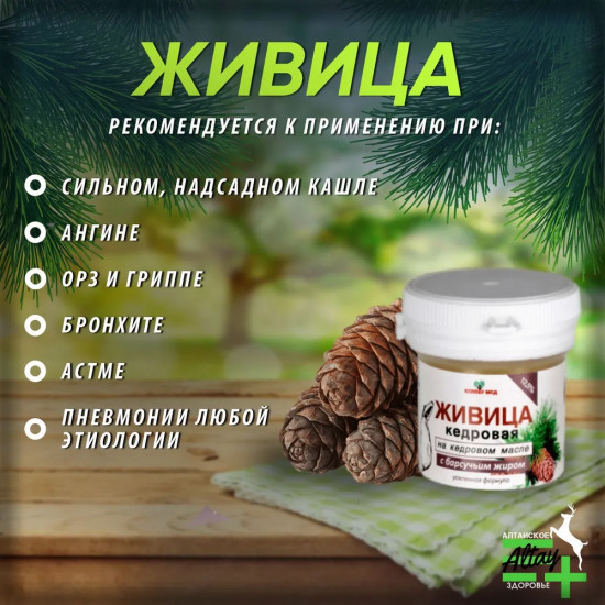 Капсулы «Живица кедровая на кедровом масле с барсучьим жиром»