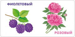 Книжки — картонки. Цвета в природе - Фото 3