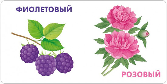 Книжки — картонки. Цвета в природе