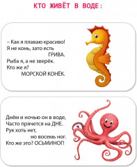 Мимикнижки. Загадки-рифмы - Фото 2