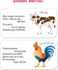 Мимикнижки. Загадки-рифмы - Фото 3