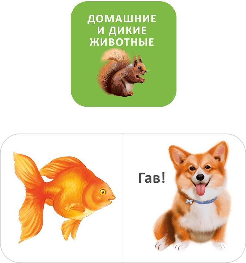 Мини-книжки для малыша | Мини-книжки | Фото 3