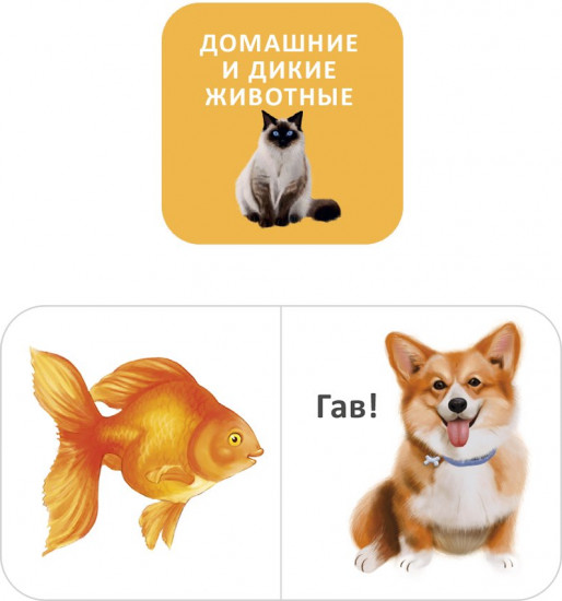 Мини-книжки для малышки