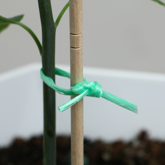 Шпагат для подвязки растений