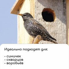 Скворечник - Фото 10