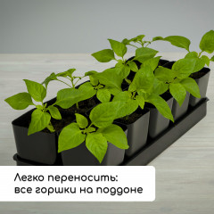 Набор для рассады - Фото 6