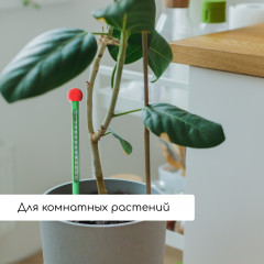 Термометр для почвы - Фото 5