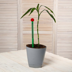 Термометр для почвы - Фото 9