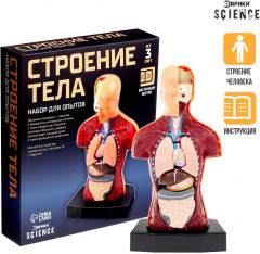 Набор для опытов «Строение тела» - Фото 1