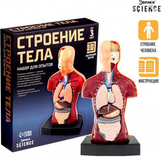 Набор для опытов «Строение тела»