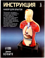 Набор для опытов «Строение тела» - Фото 8