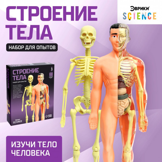 Набор для опытов «Строение тела»