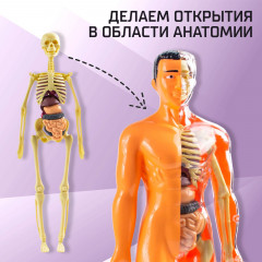 Набор для опытов «Строение тела» - Фото 4