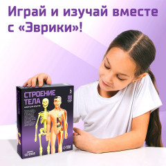 Набор для опытов «Строение тела» - Фото 5
