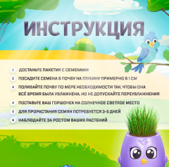 Набор для выращивания «Пташки» - Фото 3