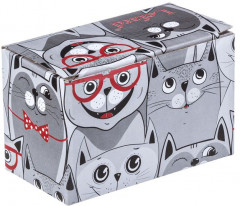 Набор для специй «Кошкин дом» (11х7х8 см) - Фото 1