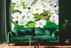 Фотообои «Белоснежная яблоня» - Фото 1