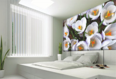 Фотообои «Утренняя весна» - Фото 1