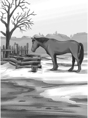 Қартқожа - Фото 2